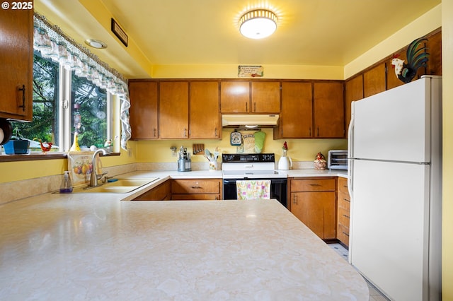 8157 Thurston Rd, Springfield, OR 97477 - kitchen with freestanding refrigerator, range with electric stovetop, under cabinet range hood, a sink, and light countertops