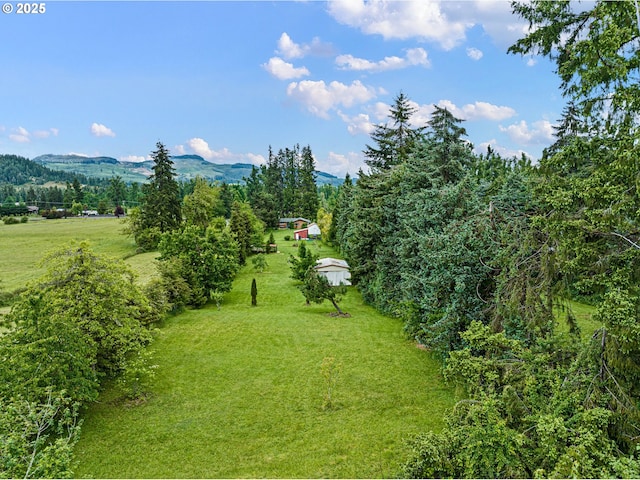 8157 Thurston Rd, Springfield, OR 97477 - view of green lawn featuring a mountain view