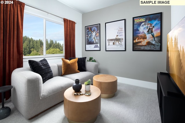 sitting room featuring carpet flooring