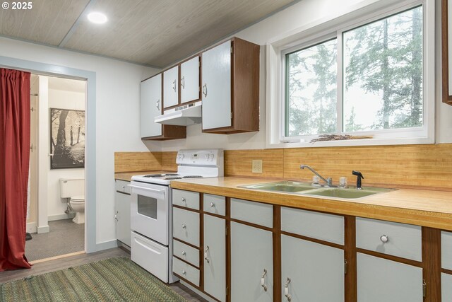 29536 Simmons Rd, Eugene, OR 97405 - kitchen featuring electric range, a sink, under cabinet range hood, light countertops, and dark wood-style floors