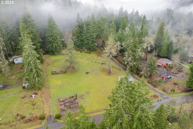 29536 Simmons Rd, Eugene, OR 97405 - aerial view
