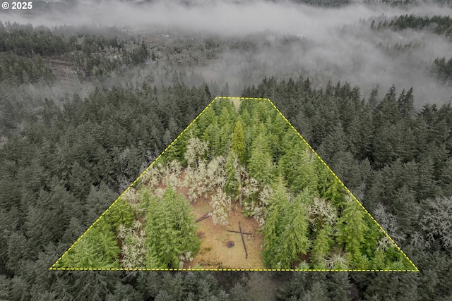 29536 Simmons Rd, Eugene, OR 97405 - aerial view of property and surrounding area featuring a forest and property parcel outlined