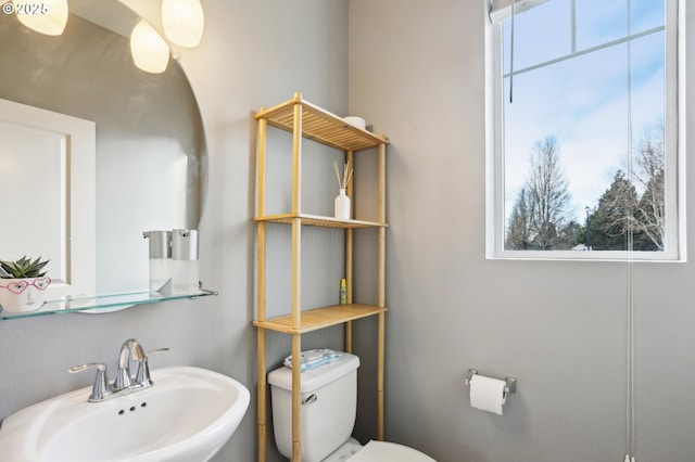 bathroom featuring a sink and toilet