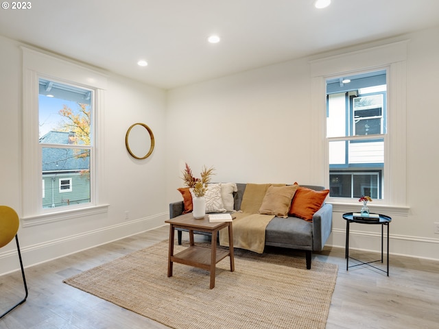 living room with light hardwood / wood-style floors