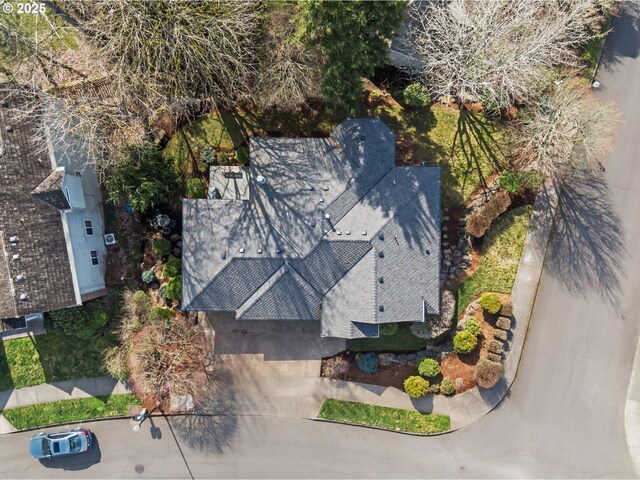 bird's eye view