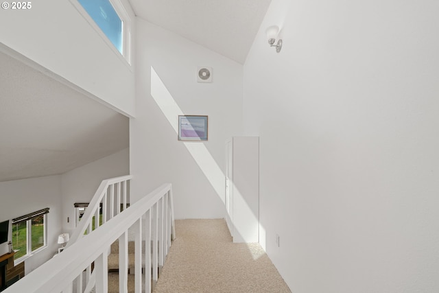 hall with carpet flooring and vaulted ceiling