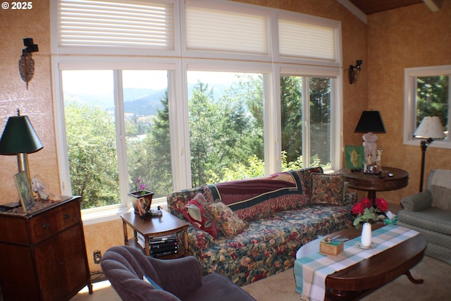 1056 NE Orchard Dr, Myrtle Creek, OR 97457 - carpeted living room featuring a mountain view