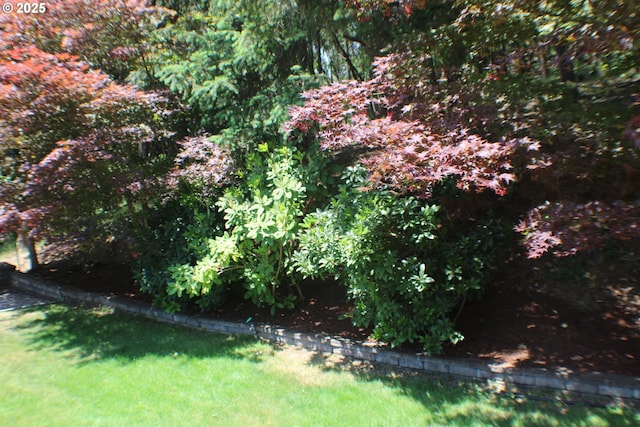 1056 NE Orchard Dr, Myrtle Creek, OR 97457 - view of yard