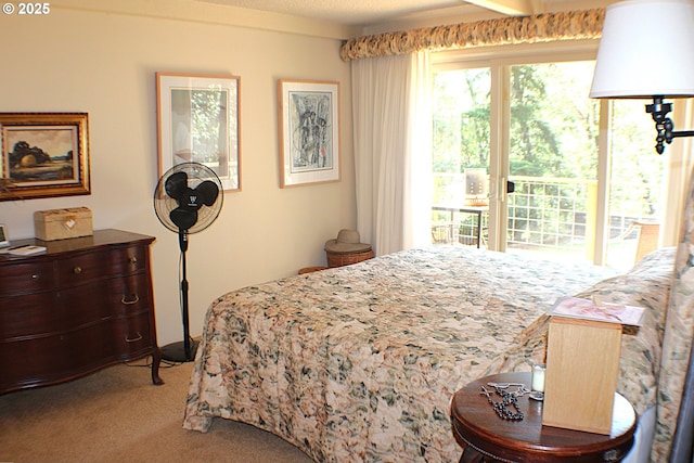 1056 NE Orchard Dr, Myrtle Creek, OR 97457 - bedroom with light carpet