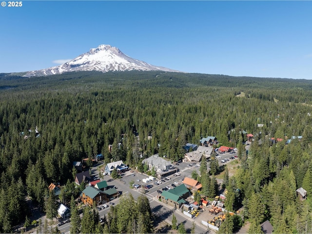 70198 E Barlow Trail Rd, Rhododendron, OR 97049 - aerial view of property's location featuring a heavily wooded area and mountains