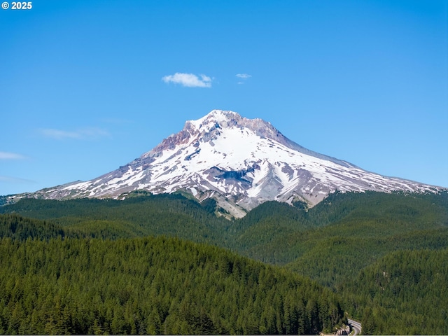 70198 E Barlow Trail Rd, Rhododendron, OR 97049 - view of mountain backdrop with a heavily wooded area