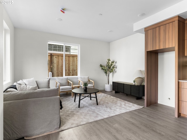 living room featuring light hardwood / wood-style floors