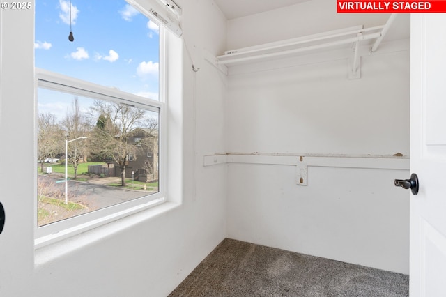 walk in closet featuring carpet flooring
