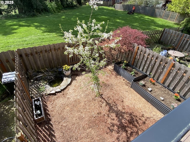view of yard featuring fence private yard and a garden