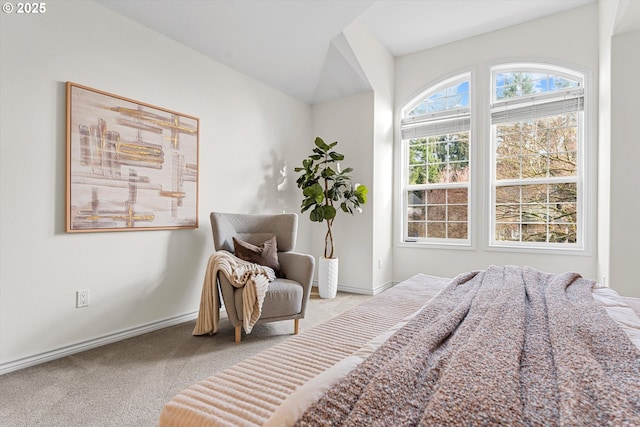 bedroom with carpet flooring and baseboards