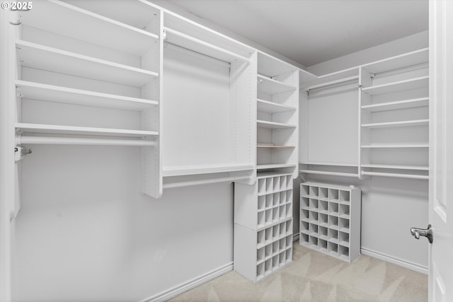 spacious closet featuring carpet floors