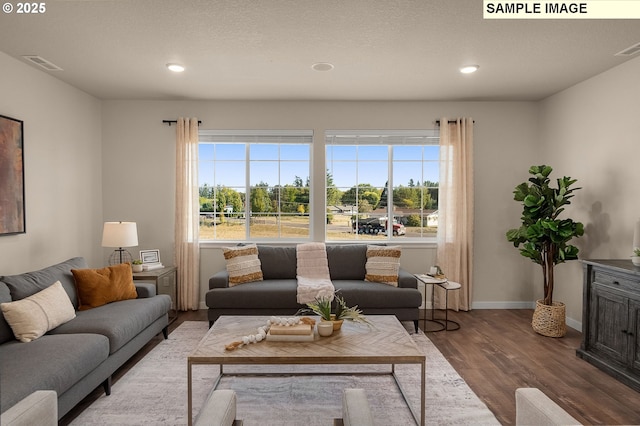 living room featuring a textured ceiling, plenty of natural light, and wood-type flooring