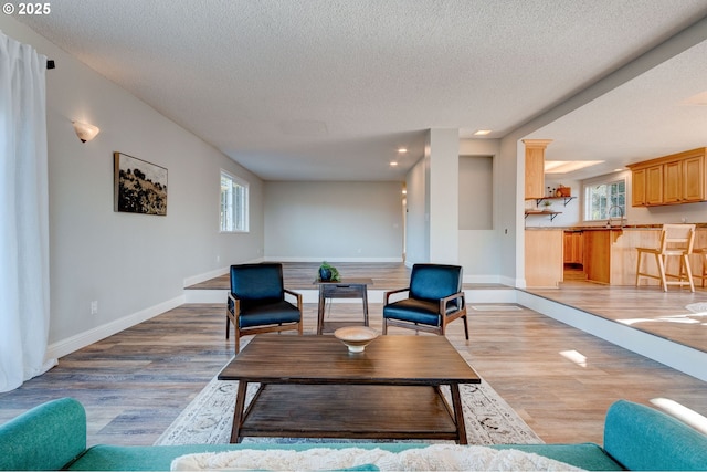 living room featuring light hardwood / wood-style floors and a textured ceiling