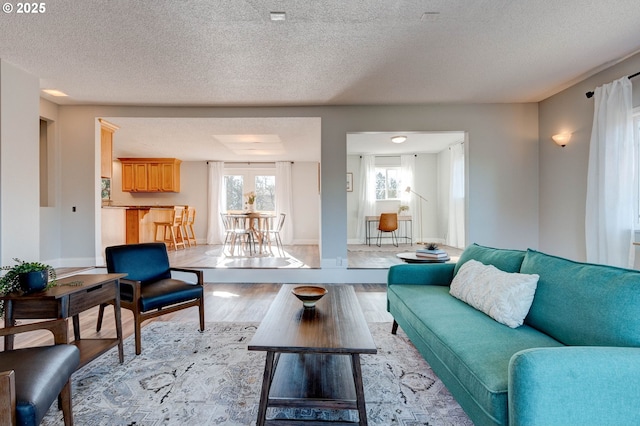 living room with a textured ceiling and light wood-type flooring