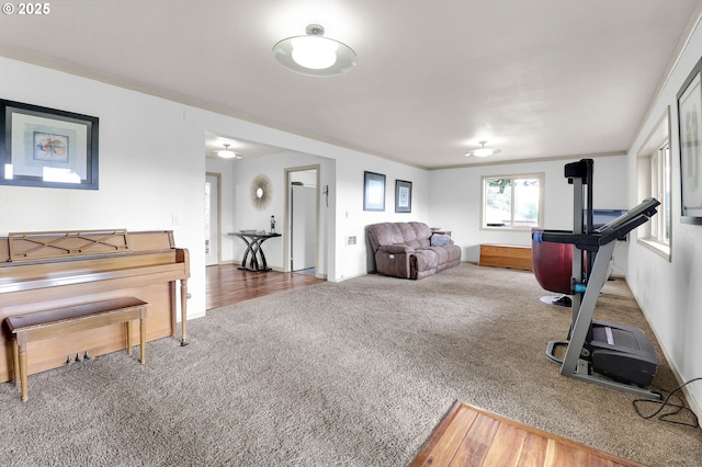 exercise room featuring carpet flooring and baseboards