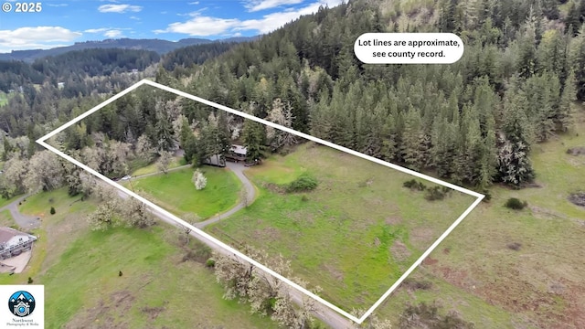 aerial overview of property's location with a heavily wooded area, a mountain backdrop, and property boundaries highlighted