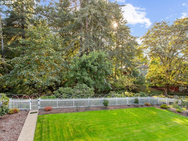 view of yard featuring a fenced front yard