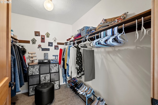 walk in closet with carpet flooring