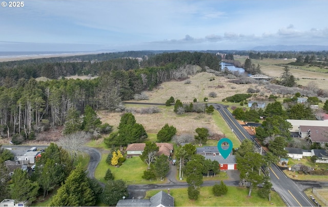 bird's eye view with a water view and a wooded view