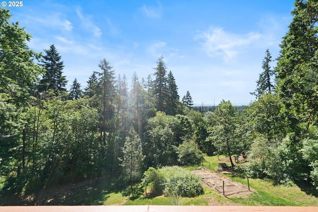 862 NW Edgewood Pl, Albany, OR 97321 - view of undeveloped land