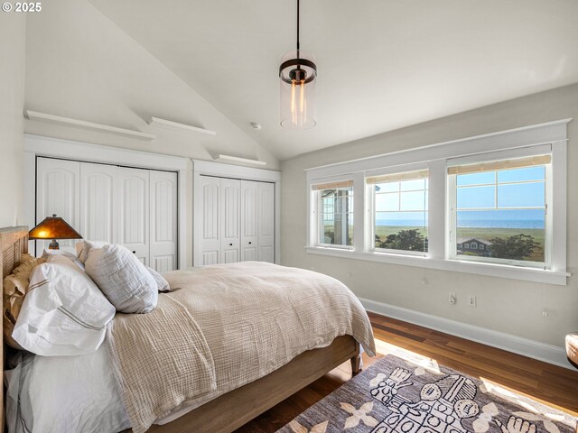 bedroom featuring two closets, baseboards, wood finished floors, and high vaulted ceiling