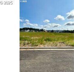 1486 N Millican Creek St, Lafayette, OR 97127 - view of asphalt road