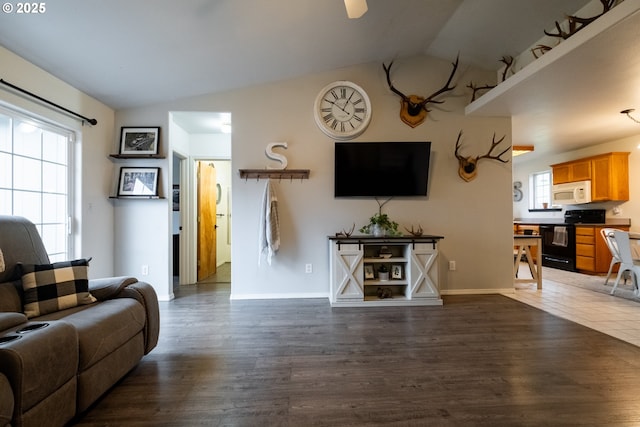 living room featuring vaulted ceiling and dark wood-type flooring