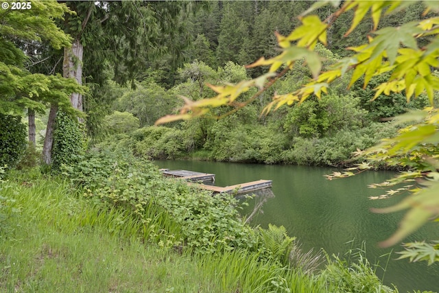 43605 State Highway 38 Unit 22, Reedsport, OR 97467 - water view with a floating dock and a heavily wooded area