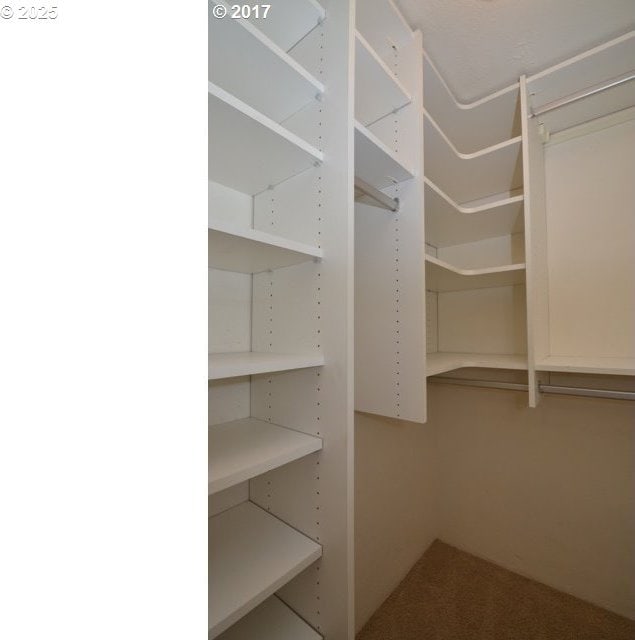 view of walk in closet