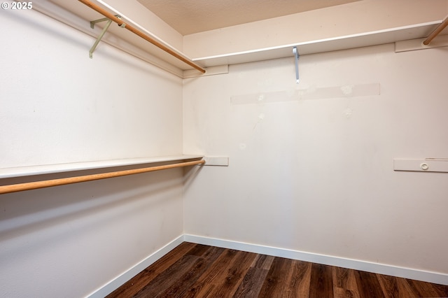 walk in closet featuring dark wood-style flooring
