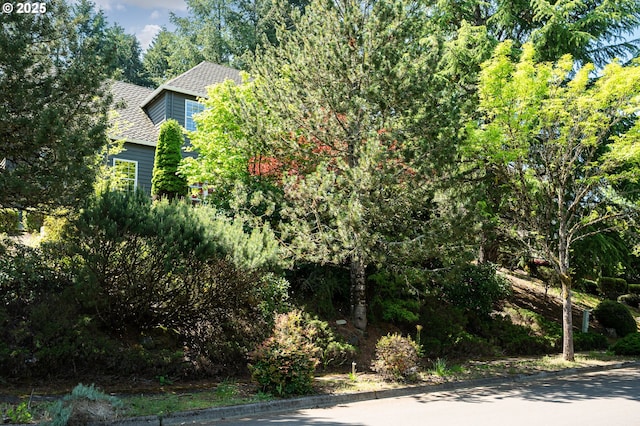 view of side of home with roof with shingles