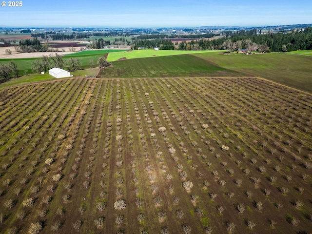 birds eye view of property featuring a rural view