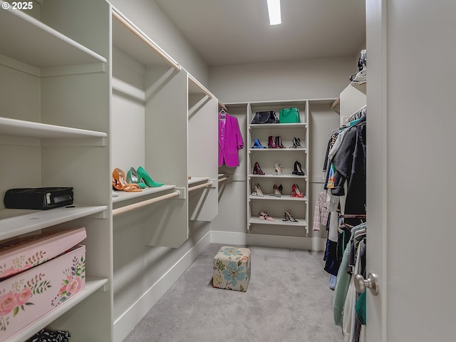 spacious closet with carpet floors