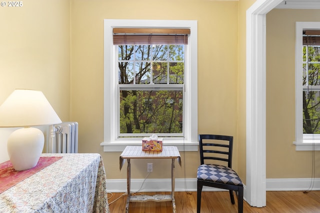 living area featuring radiator heating unit, wood finished floors, a wealth of natural light, and baseboards