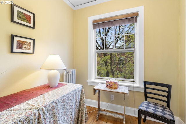 bedroom with crown molding, radiator heating unit, wood finished floors, and baseboards