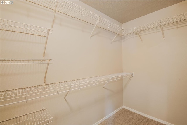 1988 NE 54th Way, Hillsboro, OR 97124 - spacious closet with carpet