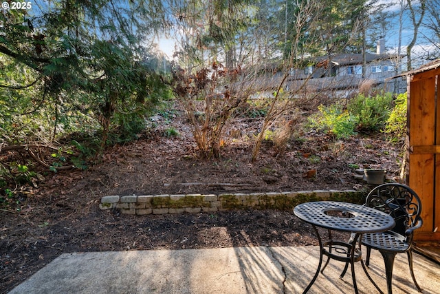 view of yard with a patio area