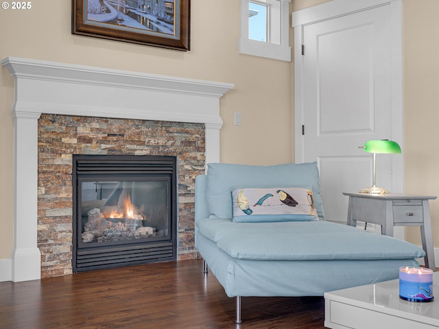 interior space featuring a stone fireplace and wood finished floors