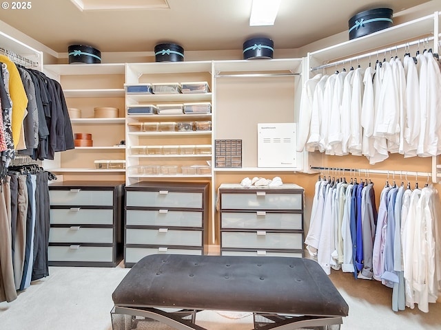 spacious closet with light carpet