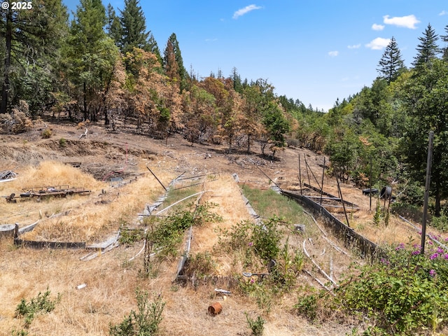 160 Holton Creek Rd, Kerby, OR 97531 - view of yard