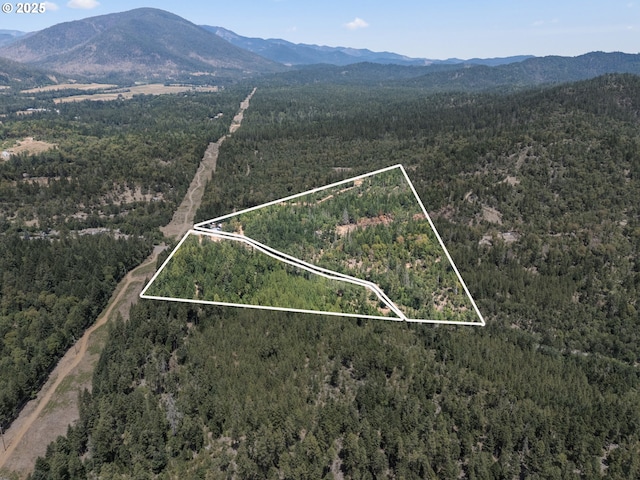 160 Holton Creek Rd, Kerby, OR 97531 - aerial view of a forest