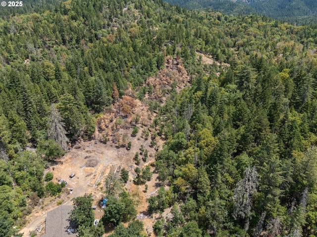 160 Holton Creek Rd, Kerby, OR 97531 - view of property location with a forest