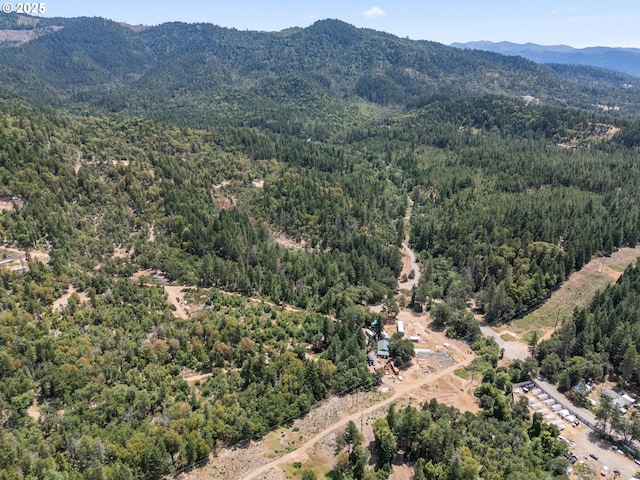 160 Holton Creek Rd, Kerby, OR 97531 - bird's eye view of a forest