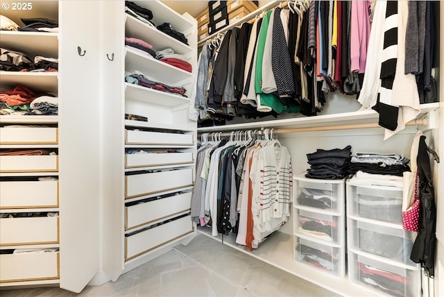 view of walk in closet