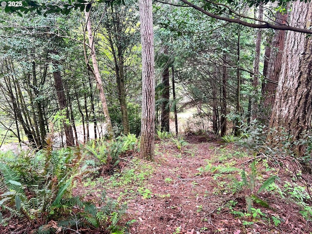 94253 Misty Ridge Ln, North Bend, OR 97459